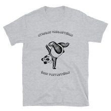 Įkelti vaizdą į galerijos rodinį, Universalūs marškinėliai "Atrodau pandastiškai, šoku fantastiškai", S-3XL